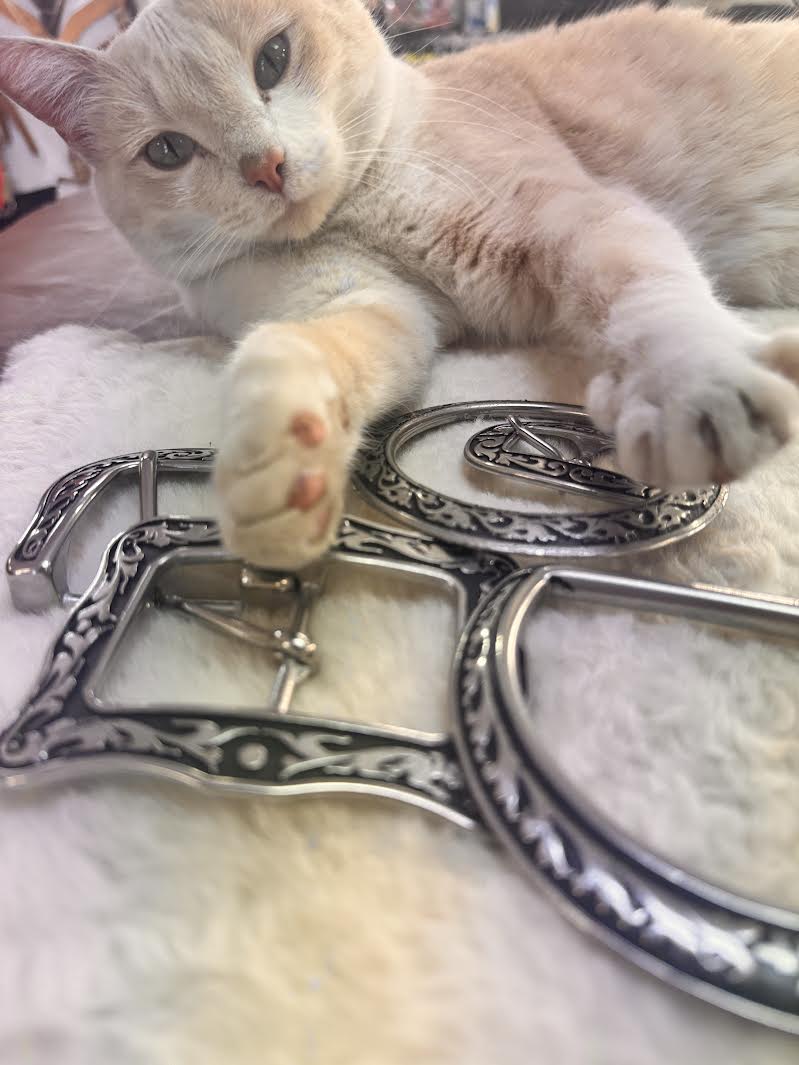 Jeremiah Watt hardware